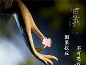 财运突然不好？请回家找原因