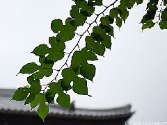 阳宅风水二十四忌